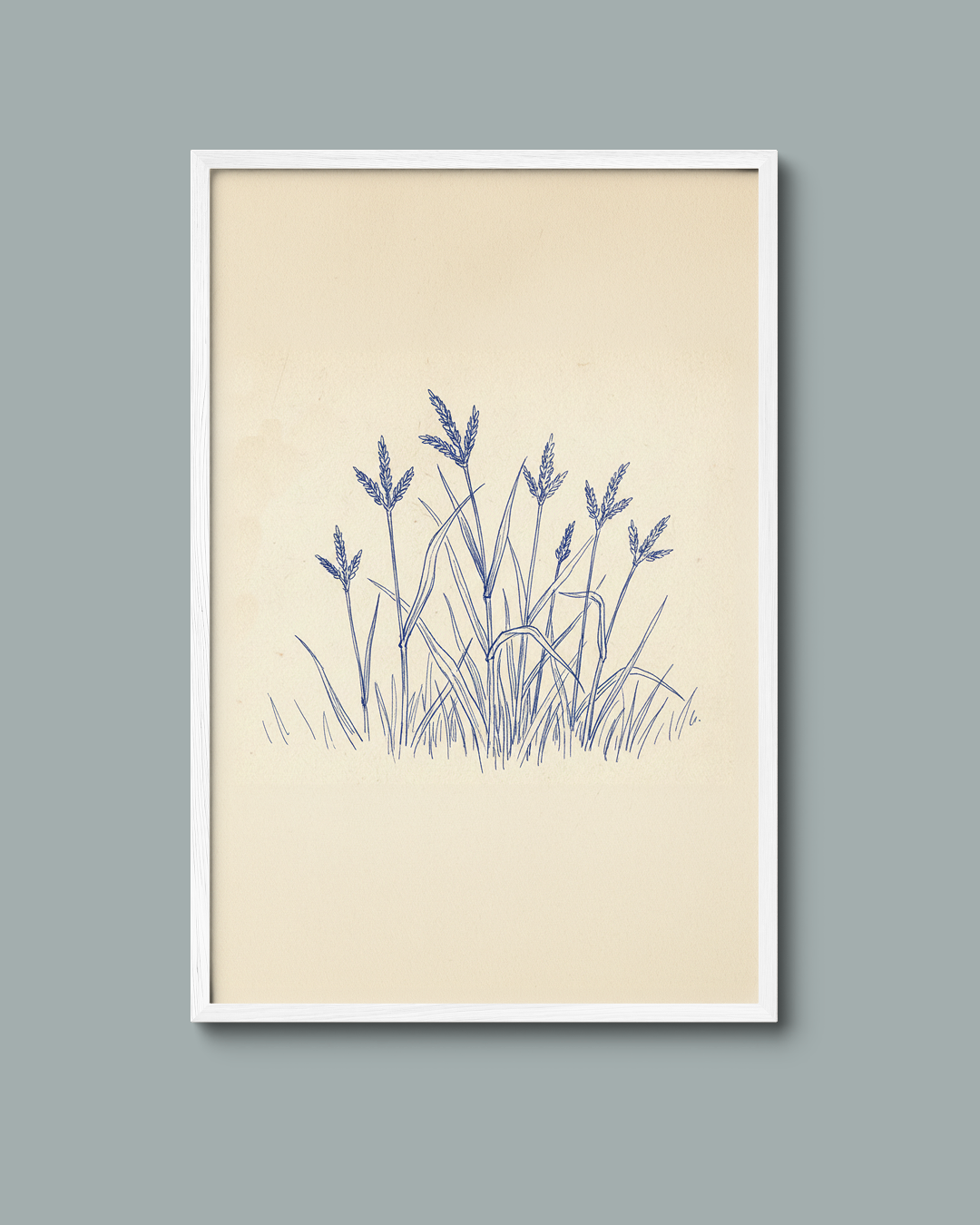Prairie Grass Print